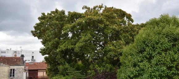 5 bedrooms Villa in Bordeaux, France No. 351026 10