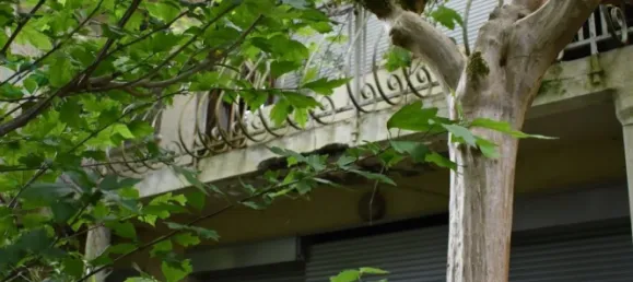 5 bedrooms Villa in Bordeaux, France No. 351026 6