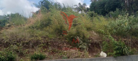 Grundstück in Porto da Cruz, Portugal 465m², Nr. 89530 2