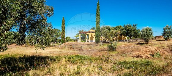 6 Schlafzimmer Schlösser in Coruche, Portugal, Nr. 26306 15