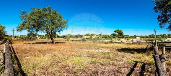 6 Schlafzimmer Schlösser in Coruche, Portugal, Nr. 26306 14