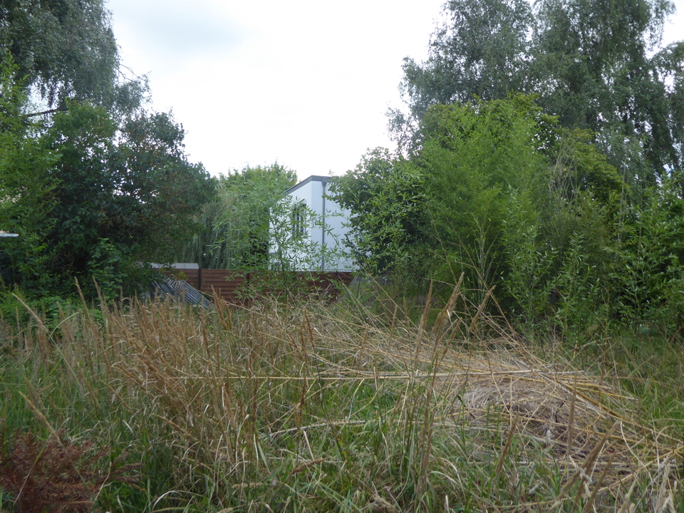 Земельный участок в Бонсдорф, Германия № 225499