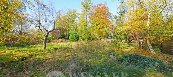  Land in Brandenburg, Germany No. 116866 3