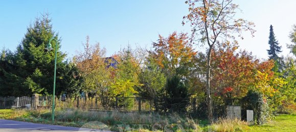  Land in Brandenburg, Germany No. 116866 4