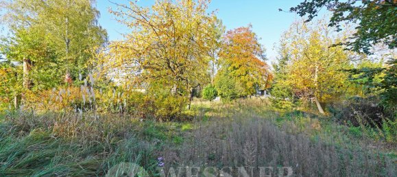  Land in Brandenburg, Germany No. 116866 2