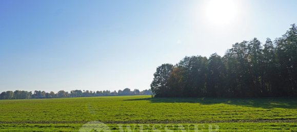  Land in Brandenburg, Germany No. 116866 8