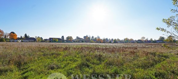  Land in Brandenburg, Germany No. 116866 6