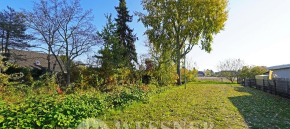  Land in Brandenburg, Germany No. 116866 5