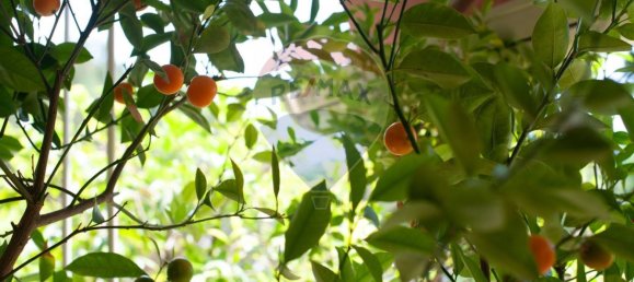 3 bedrooms Apartment in Rome, Italy No. 358207 6