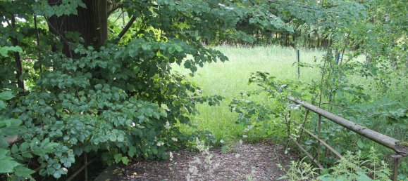 4-Zimmer Haus in Görlitz, Germany, Nr. 161089 4