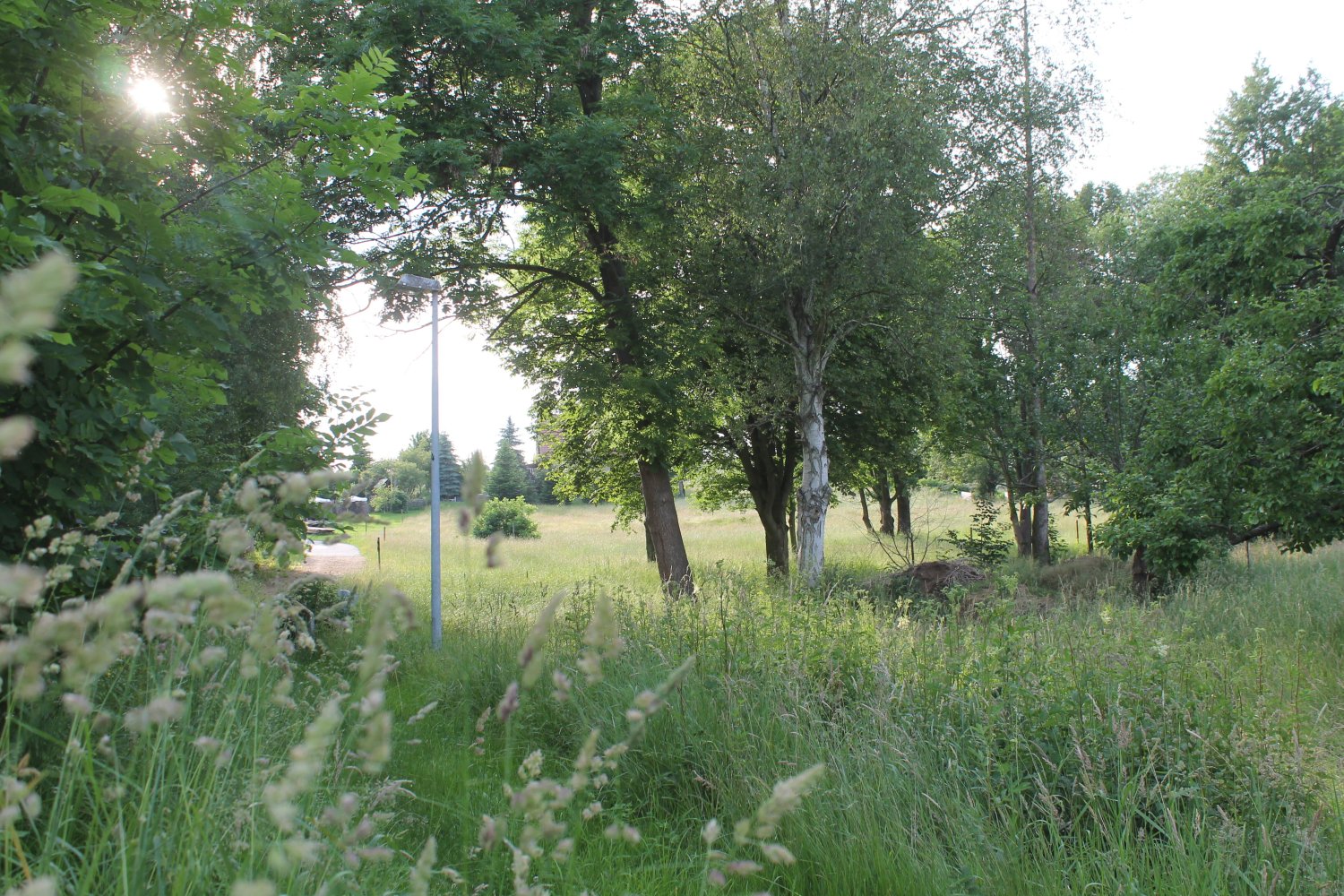 4-Zimmer Haus in Görlitz, Germany, Nr. 161089