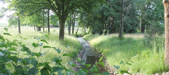 4-Zimmer Haus in Görlitz, Germany, Nr. 161089 3