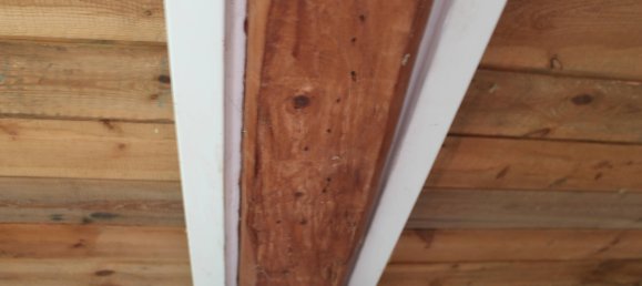 4-Zimmer Haus in Görlitz, Germany, Nr. 161089 7