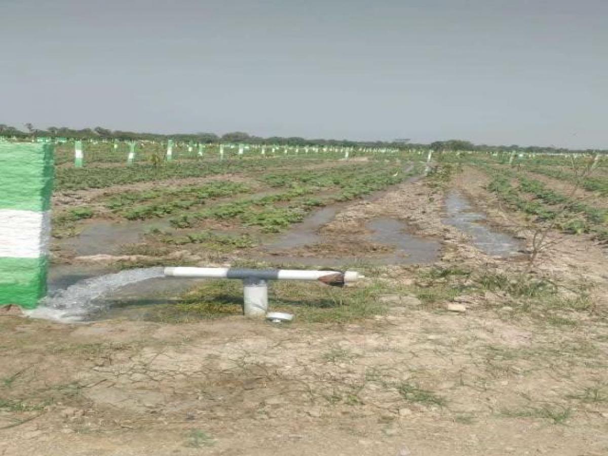 Земельный участок в Ченнаи, Индия № 33432