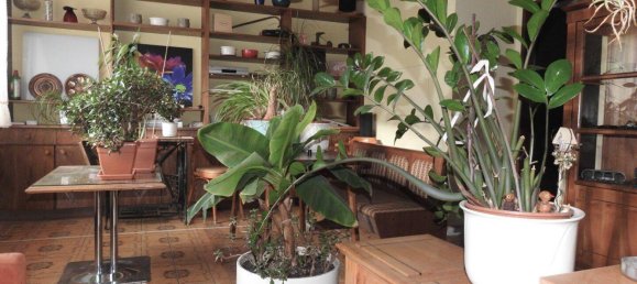 Дом с 7 комнатами в Вайтерсфельд, Австрия № 23024 12