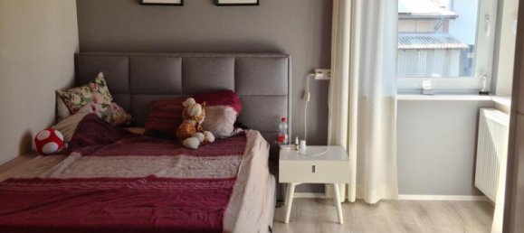 Коммерческая недвижимость с 8 комнатами в Ортенау, Германия № 258719 18