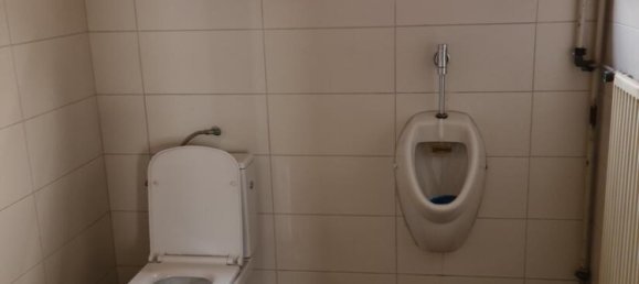 Коммерческая недвижимость с 8 комнатами в Ортенау, Германия № 258719 47