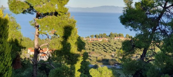 3 bedrooms Commercial property in Chalkidiki, Greece No. 4460 6