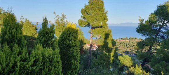 3 bedrooms Commercial property in Chalkidiki, Greece No. 4460 3