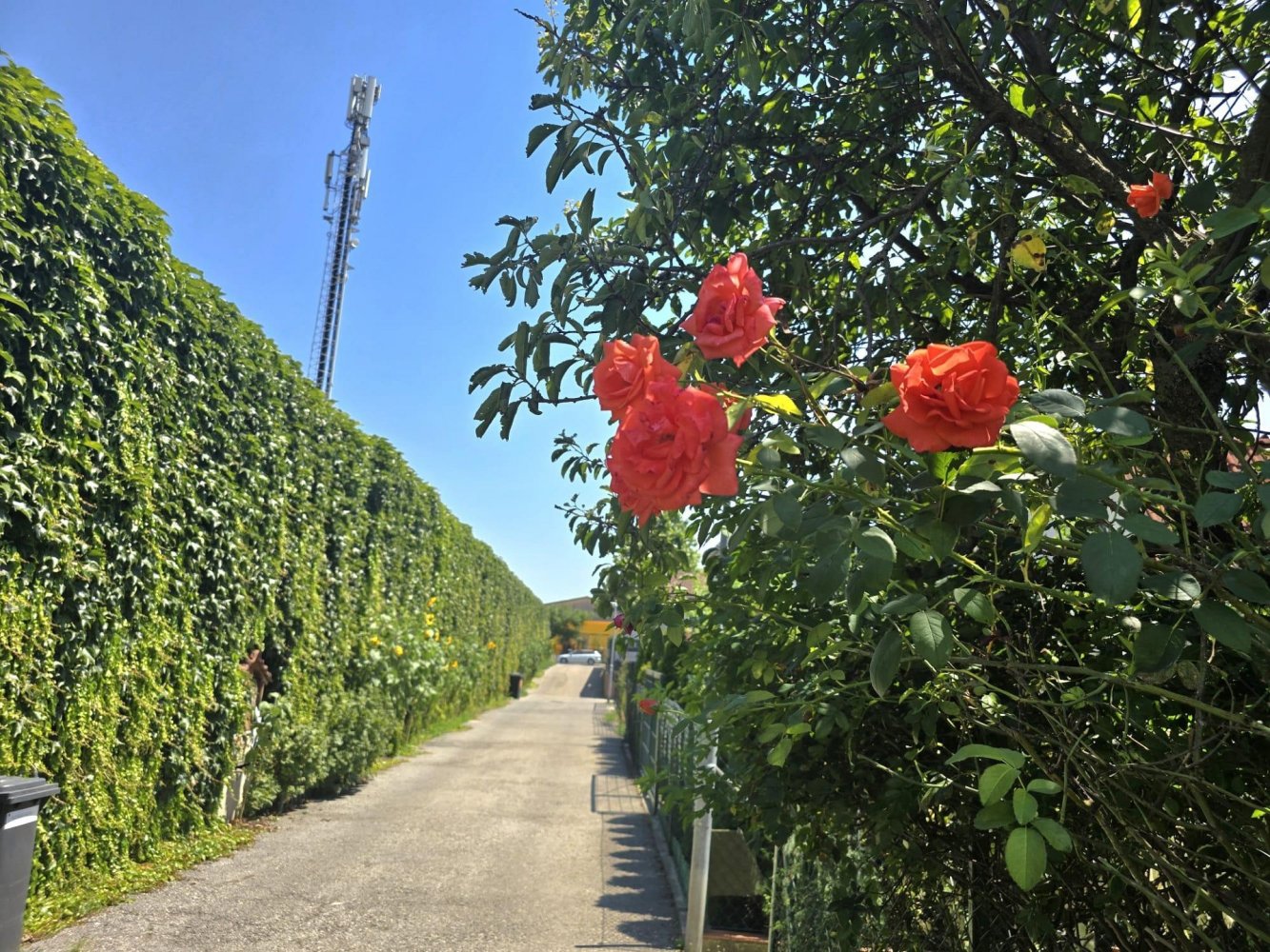 3 rooms House in Simmering, Austria No. 132515