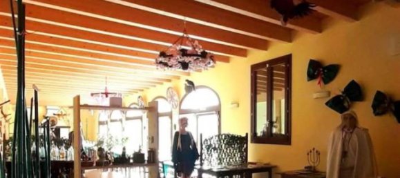 Imóvel comercial de 5 divisões em Quistello, Italy N.º 6626 14