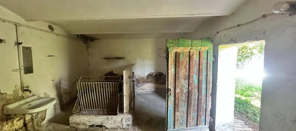 4-Zimmer Haus in Poysdorf, Austria, Nr. 231906 14