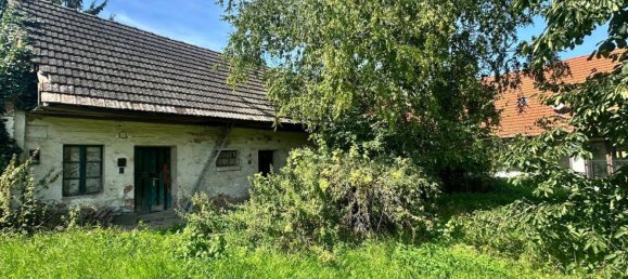 4-Zimmer Haus in Poysdorf, Austria, Nr. 231906 17