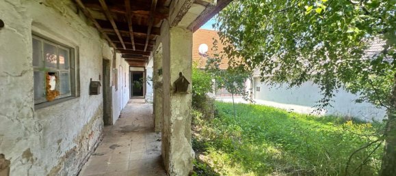 4-Zimmer Haus in Poysdorf, Austria, Nr. 231906 15