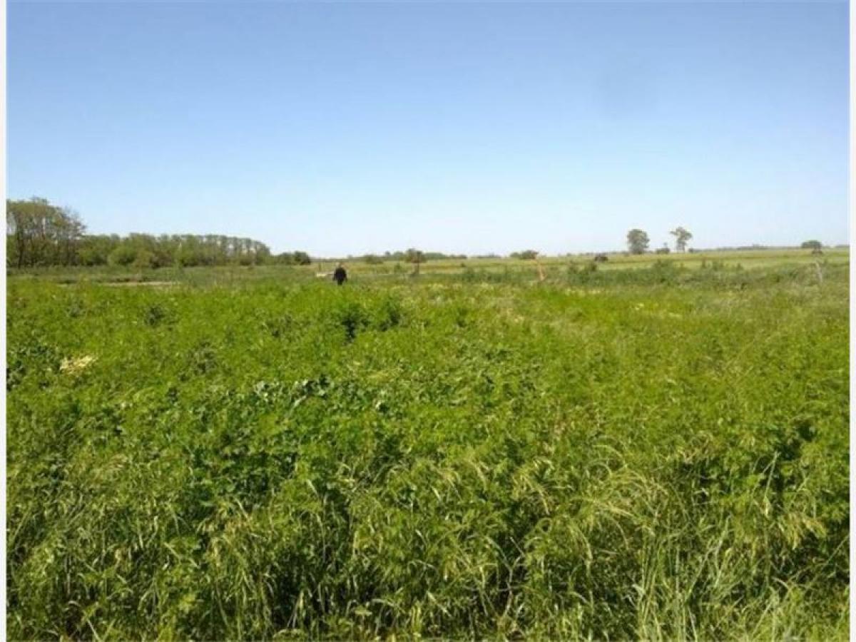  قطعة أرض في Esteban Echeverria, Argentina رقم 35436