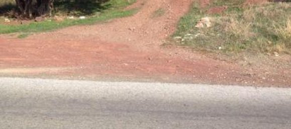 55000m² Land in Malaga, Spain No. 187295 2