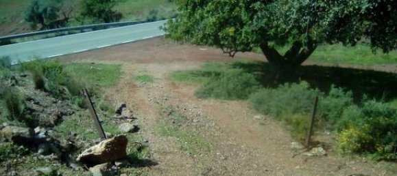 55000m² Land in Malaga, Spain No. 187295 3