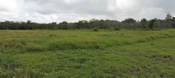  Land in Puerto Viejo, Costa Rica No. 1863 3