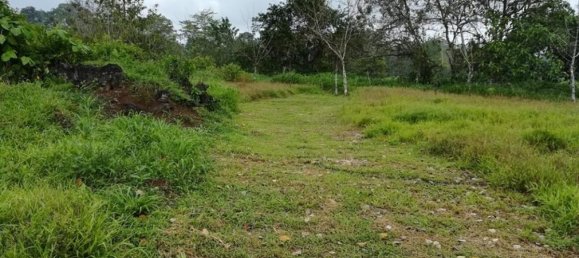  Land in Puerto Viejo, Costa Rica No. 1863 5