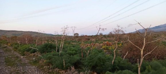 قطعة أرض في Bronte, Italy رقم 338548 4