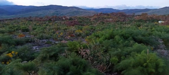 قطعة أرض في Bronte, Italy رقم 338548 3