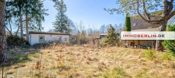  Land in Brandenburg, Germany No. 110302 3