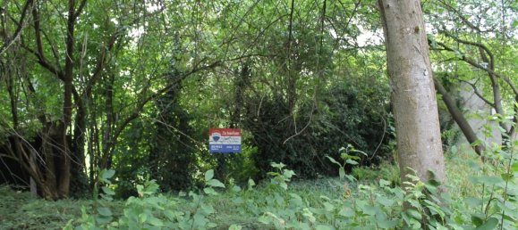 Land in Penzing, Austria No. 131410 2