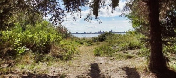 Café / restaurant à Vorpommern-Rugen, Germany 150m² No. 366661 3