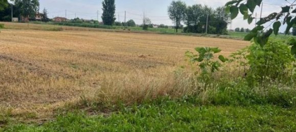 3-Zimmer Haus in Solesino, Italy, Nr. 292515 2