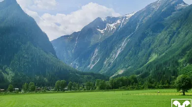 Terrain à Neukirchen am Grossvenediger, Austria No. 164132