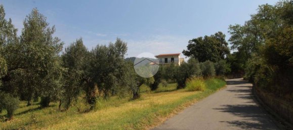 21000m² Land in Luzzi, Italy No. 302178 11