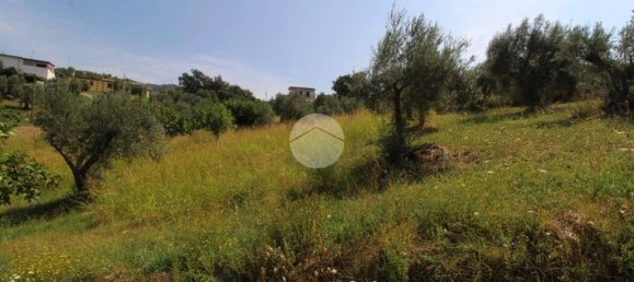 21000m² Land in Luzzi, Italy No. 302178 3