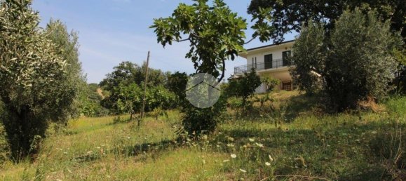 21000m² Land in Luzzi, Italy No. 302178 12