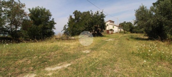 21000m² Land in Luzzi, Italy No. 302178 2