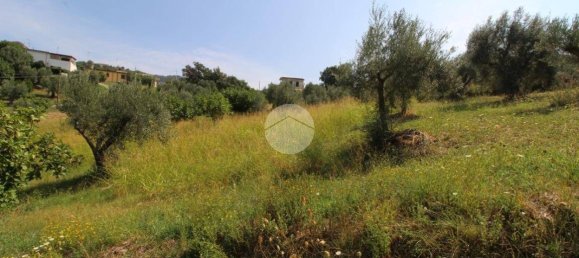 21000m² Land in Luzzi, Italy No. 302178 6