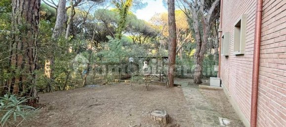 4 Schlafzimmer Villa in Grosseto, Italy, Nr. 92959 5