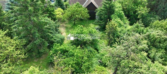 5 rooms House in Mannersdorf am Leithagebirge, Austria No. 146997 15