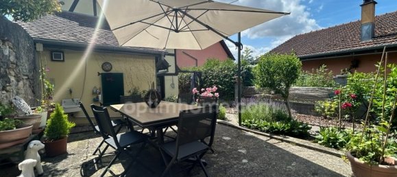 5 chambres Maison à Steinbrunn-le-Bas, France No. 68985 2