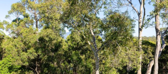 3 غرف نوم منزل في North Narooma, Australia رقم 749 11