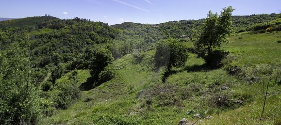 3 bedrooms House in Baiao, Portugal No. 29381 22